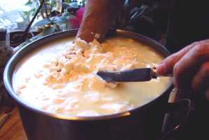 Cooking Cheese Curds in a Pot